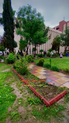اشتقنا ياديسمبر 💔 #ديسمبر #جامعة_الموصل #شعر #المكتبة_المركزيه_جامعة_الموصل📖 #كرة_القدم_عشق_لا_ينتهي👑💙 #fyp #شعب_الصيني_ماله_حل😂😂 