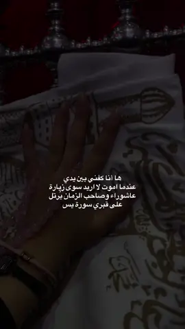 يا صاحب الزمان ادركني #CapCut #الاربعينة #كربلاء #fypシ #الشعب_الصيني_ماله_حل😂😂 #كفن 