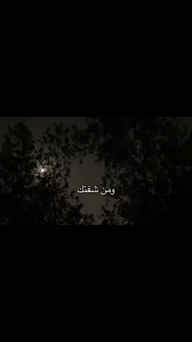🥹#شعروقصايد #علي رشم#شعراء #كرار 