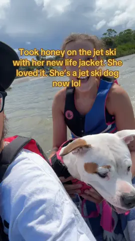 Jet skiing dog anyone? lol show off your fur babies!! #furbaby #jetskiingdog #jetski #dogsoftiktok   
