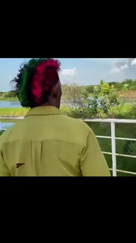#tiringa 