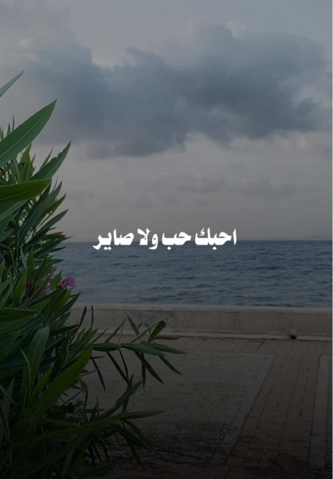 احبك حب ولا صاير❤️جناحي وبيك احس طاير❤️انا بدونك اضل حاير❤️#اكطع_نومتي #احمد_ستار #يلوا #تصميم_فيديوهات🎶🎤🎬 #اكسبلور 