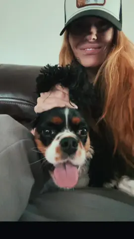 She was so not impressed by this 🥴 #labubu #fyp#fypシ #trending#tiktok #like#Love##cavalier #cavalier 