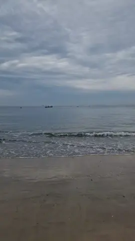 20년만에 가본 대천해수욕장 . . . . #대천해수욕장 #보령시 