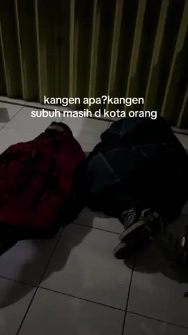 tibra cees@~betmen135cc~ @juanridwan135 #rxkingsubang #rxkingnusantara #rxkingviral #storyrxking #rxkingjawabarat 