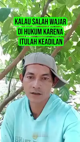 mereka duduk manis dan rakyat di suruh  berjuang untuk menggali haknya sendiri  #rakyat #indonesia  #bersuara  #mencari  #keadilan  #kepada  #tikusberdasi 