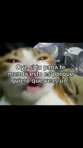 🧐🍷#xd #panas #chancla #xd #parati #viral #fyp 