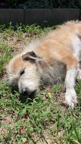 My sweetest sun lovin’ old man 
