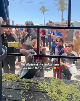 May Allah protect every child in Palestine, grant them peace, and fill their hearts with hope. You are not forgotten, little warriors🥺🥺🤲🏻🇵🇸🍉#freepalestine #prayforpalestine #standwithpalestine #foryou #freepalestine #freepalestine #standwithpalestine #freepalestine #freepalestine 
