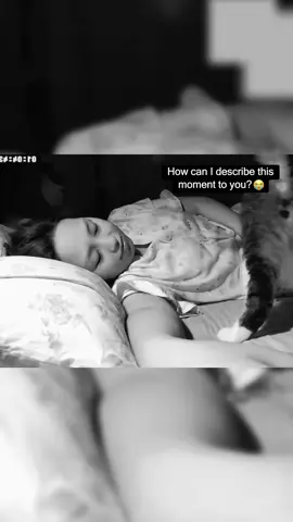 Cats like to sleep with their owners😺🥰#cat #cats #catsoftiktok #funny #funnyvideos #foryou #fyp 