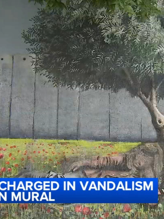 A woman accused of vandalizing a Mexican-Palestinian mural in Pilsen and then attacking someone who tried to stop her is now facing a hate crime charge, Chicago officials said. #news #chicagonews #chicago #pilsen