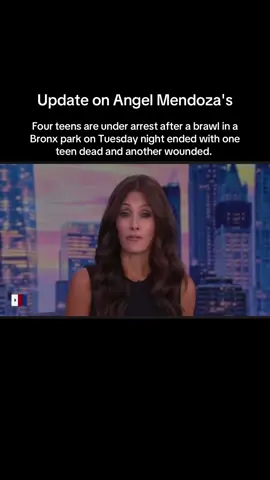 Bronx - Four teens are under arrest after a brawl in a Bronx park on Tuesday night ended with one teen dead and another wounded. Andrew Ansah, 18, Jordan Williams, 18, and a 16-year-old and 15-year-old have all been charged with murder, manslaughter, gang assault and criminal possession of a weapon in the killing of 14-year-old Angel Mendoza. #mainstreamnews #realnewsinrealtime #news #angelmendoza #bronx #WilliamsbridgeOvalPark #bx #nyc