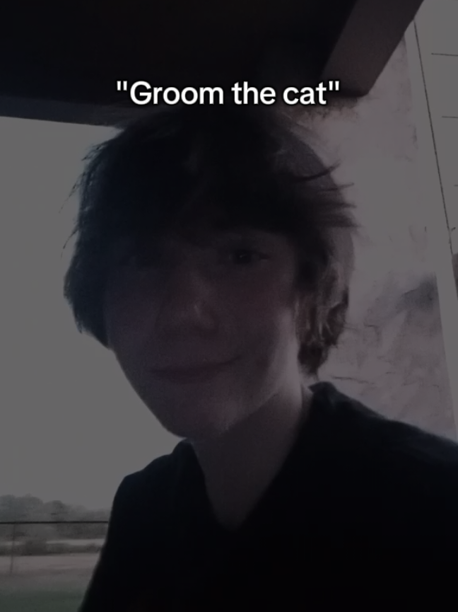 Uh...if you say so #cat #kitty #daddyskitten #groomyourcat #fyp #lgbt #dihh #freaky #catlover #shanedawsonahh 