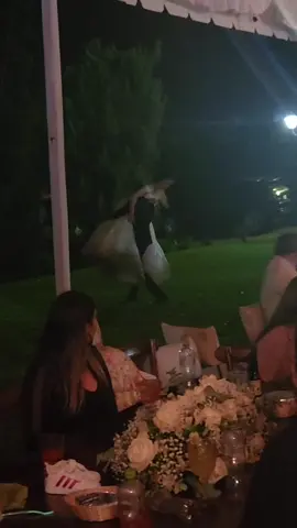 Se disfrutó 😅 #boda 