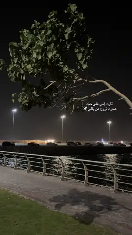#تصويري  #على_سيف_البحر_جالس❤💔 #سلمان_العويس 