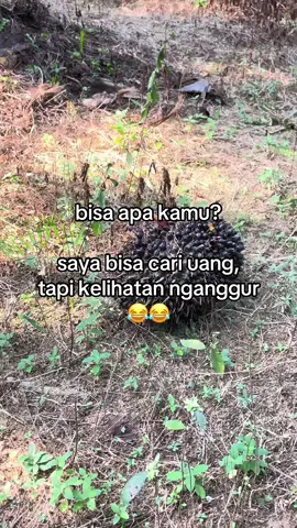 ya begitu lah kawan🤣🤣 #sawitontiktok #sawitsumatra #promomakanmerdeka 