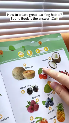 Interactive, fun, and educational—this sound book does it all! #baby2025 #toys #learnenglish #LanguageLearning 