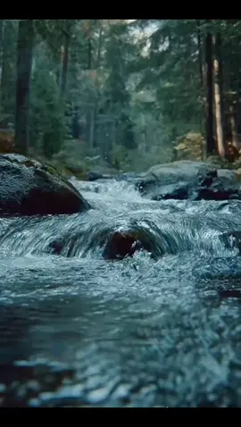 Nature Sound for Relaxation 34 Flowing Water #naturerelaxation #watersounds #flowingwater #nature 