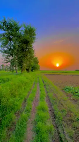 #پینڈاں_آلے #trending #pendawaly_star #foryoupage #dontunderreviewmyvideo #1million 