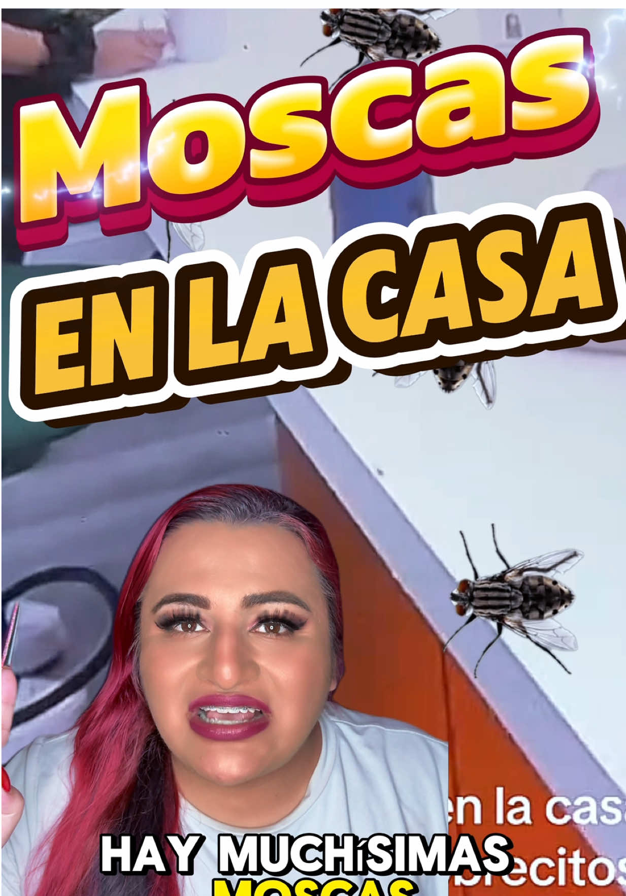 SI TIENES MOSCAS EN LA CASA 🔮🧿✨ #witch #witchy #witchcraft #witchlife #witchtok #hechizo #consejo #bruja #secretodebruja 