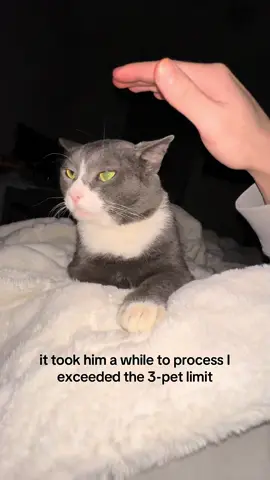 #cat