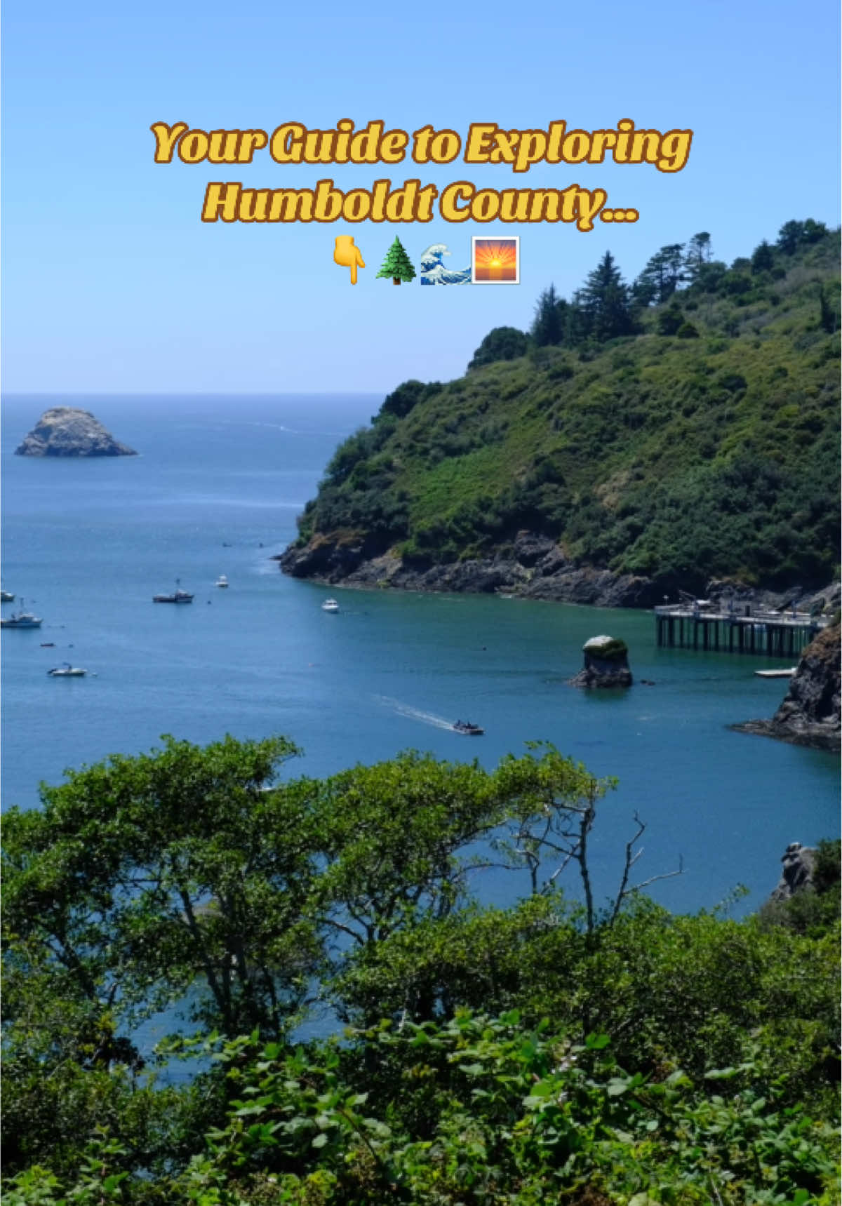 Some ideas for your next visit to Humboldt County…😍 Hikes & Trails: -Fern Canyon -Lady Bird Johnson Grove -Arcata Community Forest -Trinidad Head -College Cove Eat & Drink: -Trinidad Bay & Eatery -Slice of Humboldt Pie -Beachcomber Cafe -Cafe Phoenix -Cafe Mokka -Fogline Coffee Things to See & Do: - Elk Prairie  - Explore Ferndale - Drive Avenue of Giants  - Catch Sunset at the Beach - Sequoia Park Zoo - Explore Blue Lake (Logger Bar/Mad River Brewery) Stay: - The Front Porch Inn There is probably a lot more I forgot to include but this is a great starting point for your trip to Humboldt county! See my blog for more ideas 📲  #humboldtcounty #norcal #northerncalifornia #californiaroadtrip #california 