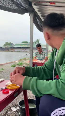 Cường Thịnh 60 e đầu hàng nha các a 🥲 #chaodua #trabiz #caucagiaitri #xuhuong 
