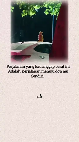 #indiasong #kucing #arabicsong 