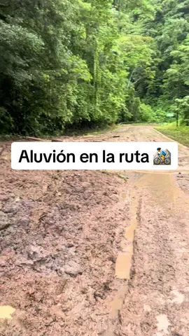 Un aluvión es básicamente una avalancha de agua, lodo, rocas y sedimentos que baja con fuerza por un valle o quebrada. Suele formarse cuando hay lluvias intensas, deshielos rápidos o se rompe una represa natural. 💥 Causas principales 	•	Lluvias torrenciales que saturan el suelo. 	•	Derretimiento rápido de nieve o glaciares. 	•	Obstrucciones naturales (como troncos o rocas) que ceden de golpe. 	•	Actividad volcánica que derrite hielo y libera flujos de lodo (lahares). ⚠️ Efectos 	•	Destrucción de viviendas, caminos y cultivos. 	•	Pérdida de vidas humanas y animales. 	•	Cambios drásticos en el paisaje. 🛡 Prevención y respuesta 	•	Monitorear zonas de riesgo y el clima. 	•	Evitar construir en quebradas o cauces. 	•	Sistemas de alerta temprana y planes de evacuación. Sigueme por YouTube también 🌱 #cyclist #cycling #roadtrip #mudslide #adventure #mud #flood 