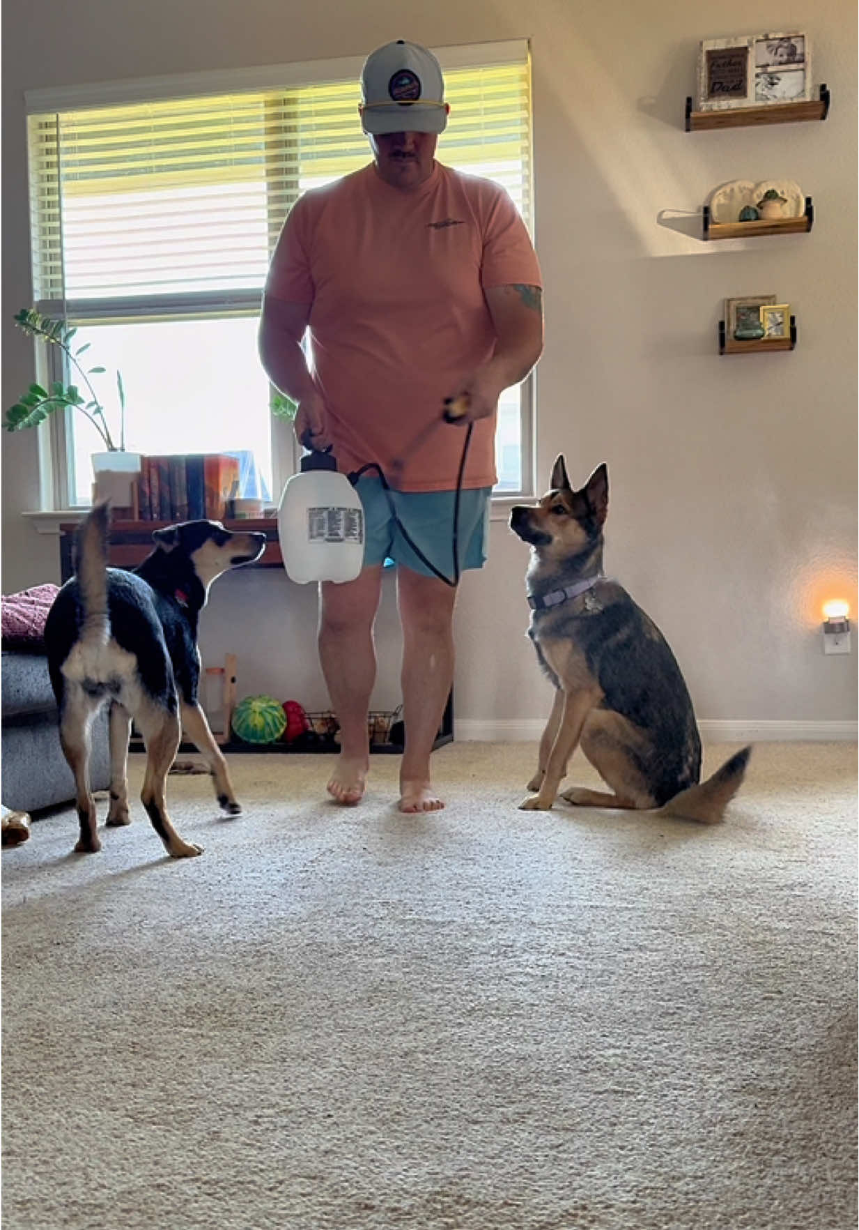 Used by vet clinics and animals shelters across the country. @Odorcide #olebrandselect #cleaningproducts #olaycleansingmelts #dogskincare #odorfree 