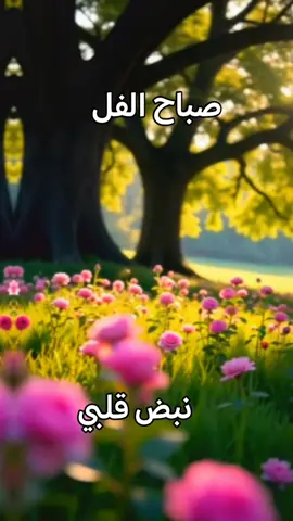 #صباحكم_أحلى_صباح #صبااااح_____________الورد🌺 #صبااااااااح_الحب_ياحلوين#صباااحكم_سعــــاده_لا_تنتـــهي #صباحكم_معطر_بذكر_الله #.