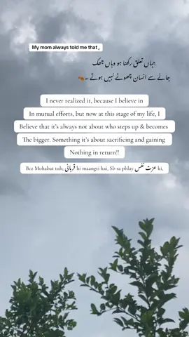 وہاں جھک جانے سے انسان چھوٹے نہیں ہو جاتے ۔🥀💔😭#repost #urdupoetry #fypシ゚viral🖤tiktok #viralmyvedio #fypシ゚viral🖤tiktok 