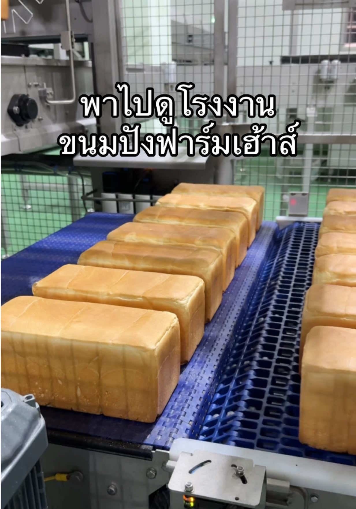 หอมกรุ่นจากเตาทุกวัน พาไปดูโรงงานขนมปังฟาร์มเฮ้าส์ #ผู้บริโภค #ขนมปัง #ฟาร์มเฮ้าส์ #เซเว่น 