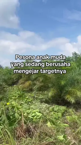 🤙🏻🌴#sawitontiktok #petanimuda #petanisawit #petanimilenial #sawitkalimantan 