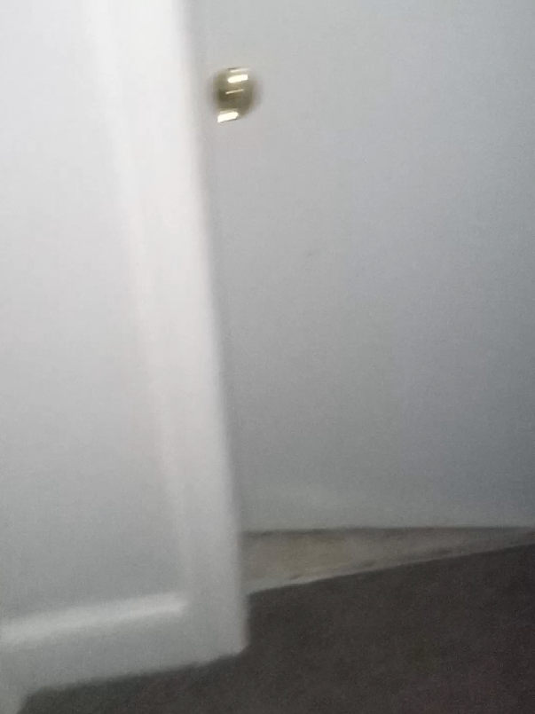 alguien entro a mi casa 