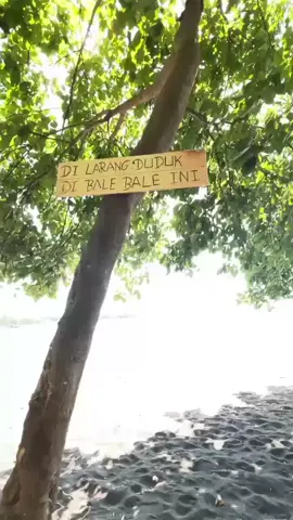 MAUMERE: Mau menika tapi kere😭😭😭😭 #Lucungakak #fyp #nttpride🏝🔥 #hiburan #viral 