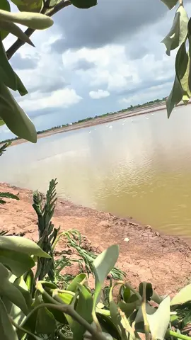 Bị cua kẹp chứ em hông biết gì à nghe😂😂