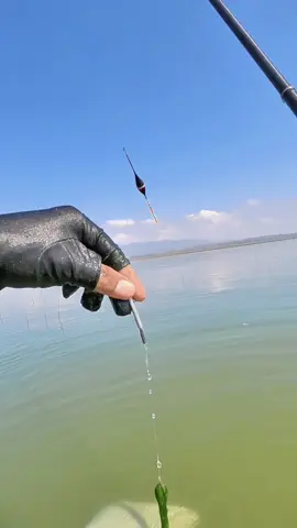 besok mancing kemana bosku? ga kerja bakti ta 😂