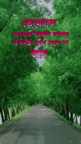 আই মিস ইউ জান #foryou #tiktok #foryoupage #trending @TikTok Bangladesh 