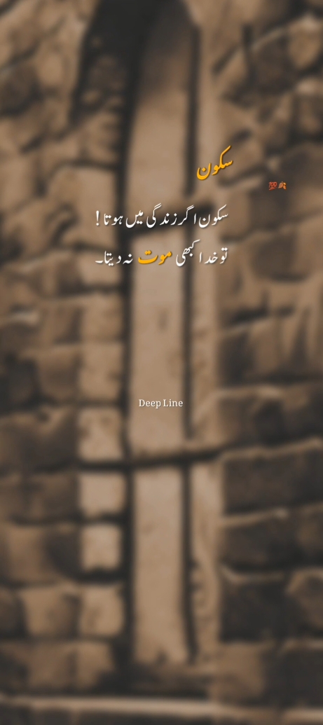 Sukoon agar zindagi me hota to khuda kabhi mot na deta...💯🥺#fyp #tiktok #viralvideos #foryoupageofficiall  #foryou #trendingvideo #foryoupage #urdupoetry #shayeri 