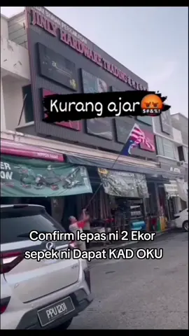 #jalurgemilangterbalik #junlyhardware #cinahinabenderamalaysia#benderamalaysia #bulankemerdekaan