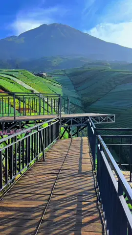 Dari jembatan viral ini,kalian bisa saksikan keelokan terasering & gunung sumbing berdiri megah di pagi hari 🍃⛰️, yuk buruan cobain sensasi pemandangannya 🤩🌿 . . #magelang24jam #explore #soundviral #pemandanganalam #wisatamagelang #viralvideo #gunungsumbing #wisataalam #alam #sukomakmur #jembatanviral #wisataindonesia #fypシ゚ #pesonaindonesia #fyp 