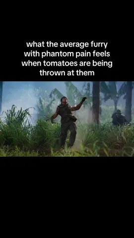 #vrchat #vrchatcommunity #vrchatmemes #phantompain #furries 