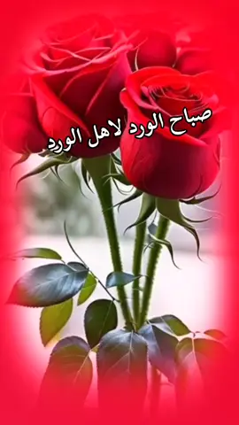 #صباح_الخير #صباحكم_سعادهـ🌸🍃 #تصاميم_فيديوهات🎵🎤🎬 #مجرد________ذووووووق🎶🎵💞 #CapCut 