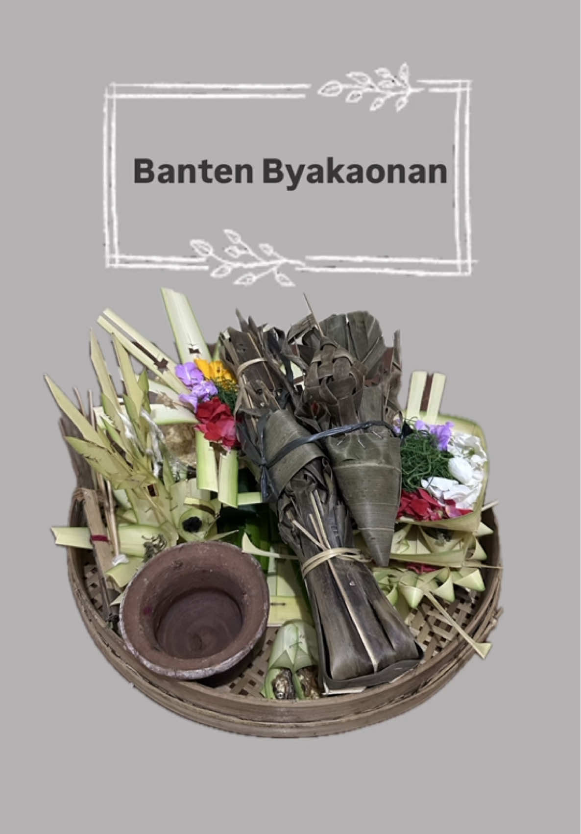 Banten Byakaonan. #metanding #metandingcanang #metandingbanten #wanitabaliwanitatangguh #wanitabaliasli 