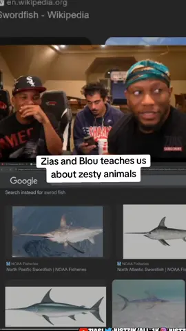 Zias and Blou teaches us about zesty animals #zias #ziasandblou #ziasnblou #blou #zesty #animals #Pride #stream #clips #ducks #clip #fyp