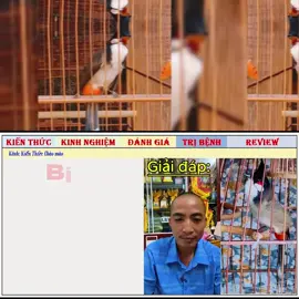 Bí kíp để thò tay vào mà chim không hoảng #kiếnthứcchàomào #hiệpđồngnai 