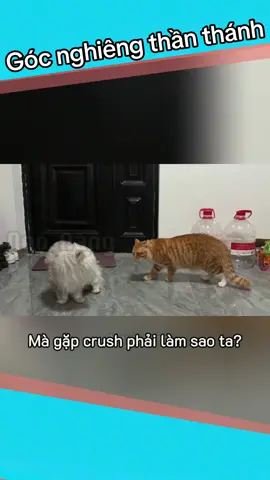 Góc nghiêng thần thánh