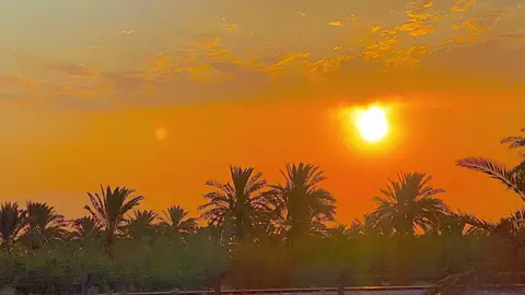 منو يندل هاذا المكان #حسن_الاميري #قاسم_الساعدي #ابن_رحم #تصوري📸 #وضعيات_تصوير #🍀☘️🌿🌷🌼🌻🌺💐💮🌸🏵🌹 #سمير_صبيح #تحياتي_لجميع_المشاهدين_والمتابعين #حجي_علي #🍀🍀🍀 #🌿 #تصويري #طلع_ايدك_من_جيبك #اسلام_على_امير_المؤمنين #☘️ #علي_سمير_صبيح #محمد_الحلفي 