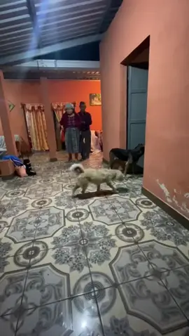 👵🏼🧓🏽❤️‍🩹